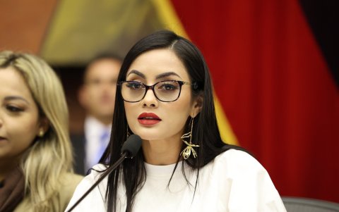 Viviana Veloz ocupó la Presidencia de la Asamblea hasta el 13 de mayo.