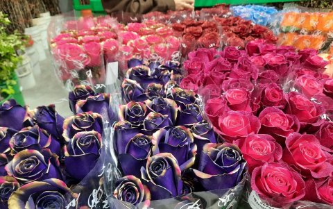 Un ramo de 12 rosas se comercializa hasta en $47 para los mayoristas.