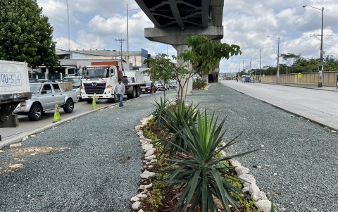 Espacios. Para la ciudadanía es menester que estos sitios tengan más vegetación que piedrillas para que mejore la calidad del aire de la zona y el ambiente.