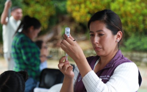 El Ministerio de Salud anunció que habrá brigadas para vacunar contra la tosferina y la fiebre amarilla en los planteles de cuatro provincias.