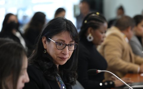 La vocal del Consejo de la Judicatura, Solanda Goyes, enfrenta un juicio político en la Asamblea Nacional impulsado por el oficialismo.