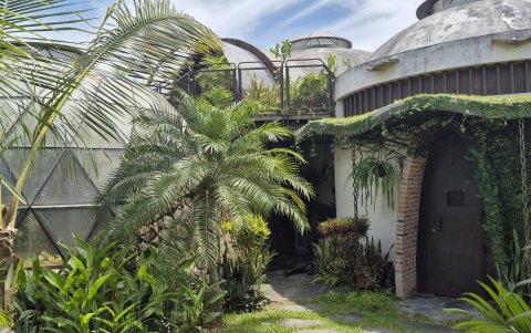 Rancho Tortuga no es solo hospedaje: es una inmersión total en sostenibilidad, biodiversidad y sabores locales