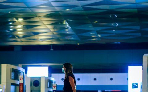 El MSP declaró una alerta epidemiológica debido al aumento de casos de fiebre amarilla en la región