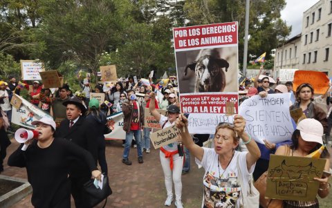 Activistas protestan por cambios en la Asamblea al proyecto de Ley para la protección de animales este lunes 12 de mayo.