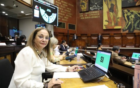 Pierina Correa durante la votación del proyecto COPINNA.