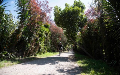 La vegetación de El Chaquiñán atrae a muchos. Es un camino ideal para ciclistas y también para personas que disfrutan de la naturaleza.