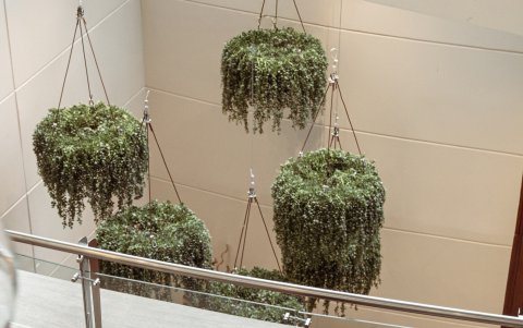 El resortwear sofisticado de ‘The White Lotus’ marca tendencia en moda