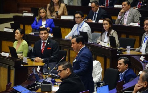 El asambleísta Ferdinan Álvarez fue el encargado de mocionar la conformación de las 15 comisiones permanentes