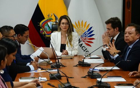 Rosa Torres Cadena fue electa presidenta de la Comisión de Justicia, donde también está Esteban Torres.