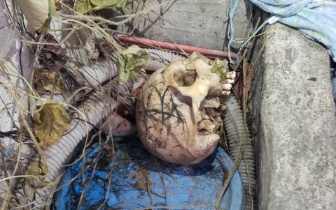 En el allanamiento encontraron restos humanos.