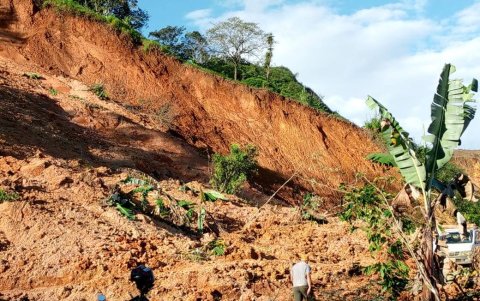 Las afectaciones son millonarias para la agricultura de Loja.