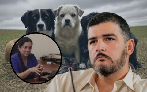 El alcalde respondió a las denuncias de Rescate Animal y señaló a su exdirectora.