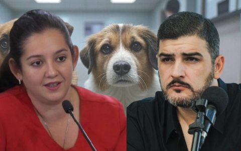 La exdirectora municipal y activista de los derechos de los animales rechazó los señalamientos del alcalde de Guayaquil.