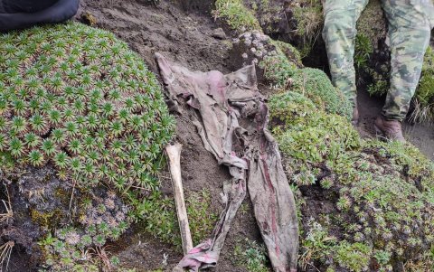 Restos de ropa y una osamenta aparentemente humana fueron encontradas en el páramo.