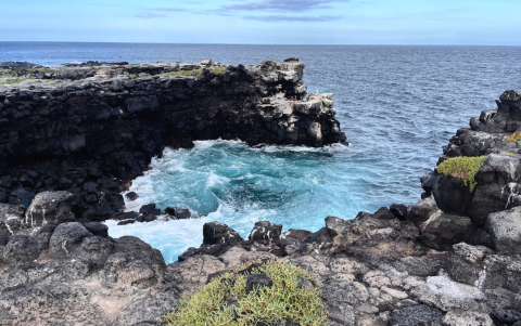 Isla Plaza Sur en Galápagos.