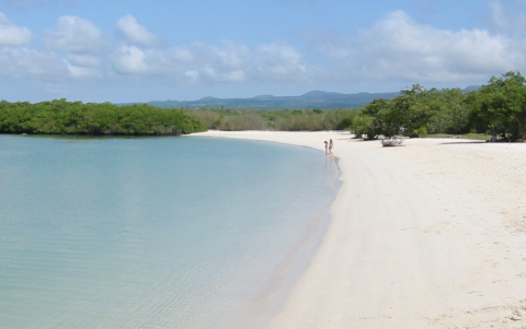 Tortuga Bay, Islas Galápagos