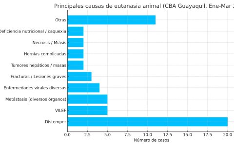 Enfermedades y sus recurrencias, según documento.