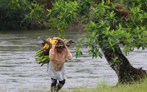 Las mujeres chachis caza, cultivan y pescan para su familia.