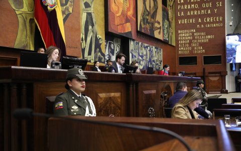 La Asamblea resolvió devolver a la Corte Nacional de Justicia su solicitud.