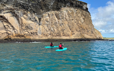 El paddleboard es una de las actividades que puedes realizar durante el crucero.