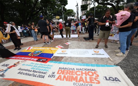 Los animalistas prepararon pancartas para la marcha en las diferentes ciudades del país.
