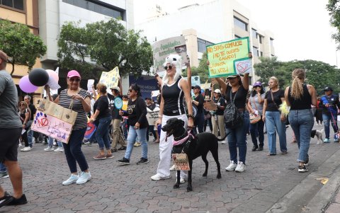 Muchas personas asistieron a las marchas con sus mascotas.