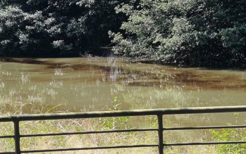 La marea desplazó la sustancia hacia Urdesa y Kennedy, según confirmaron las autoridades.