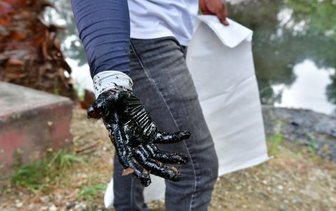Muestra del hidrocarburo recogido del estero Salado: la mancha sigue presente.