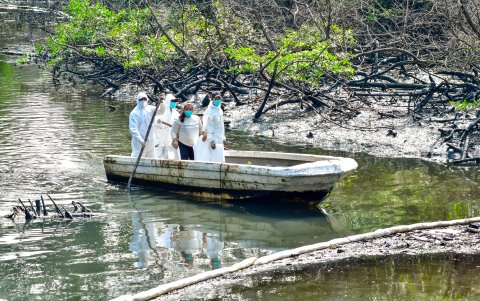Personal del MAATE limpiaba con lanchas la contaminación del Salado.
