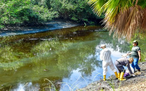 La mancha aún era evidente desde la ciudadela Bosques del Salado.