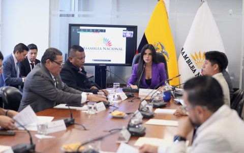 Dominique Serrano es parte de la Comisión de Transparencia que es presidida por la gobiernista Diana Jácome y tramita la fiscalización a Progen.