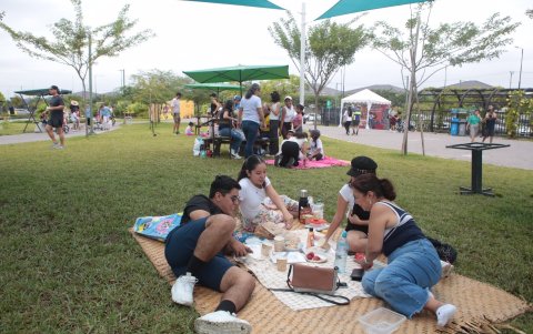 El parque cuenta con áreas para hacer picnic.