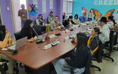 La Comisión de la Niñez en el periodo legislativo pasado tramitó el Código Orgánico de Protección a Niñas, Niños y Adolescentes.