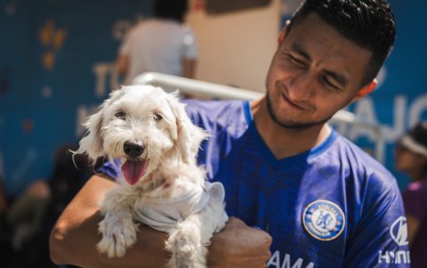 Adoptar forma un vínculo especial.