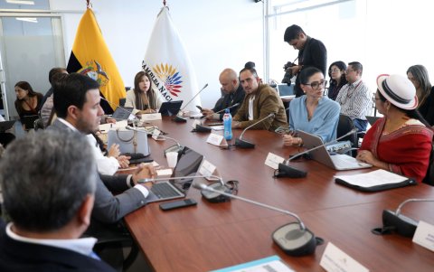 La Comisión de Seguridad, presidida por la oficialista Inés Alarcón, fue la encargada de tramitar la Ley de Inteligencia.