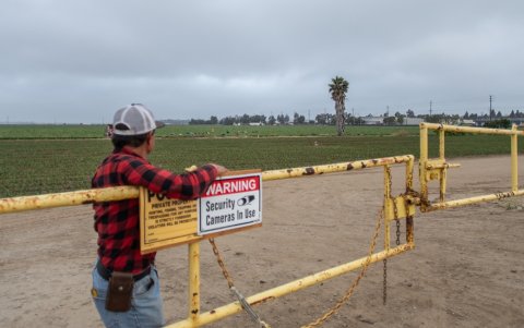 Un trabajador se encuentra en la entrada de un campo de fresas para mantener la puerta cerrada para proteger las instalaciones agrícolas contra las redadas, en Oxnard, California.