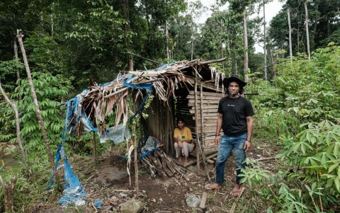 Bokum y su esposa Nawate, miembros de la tribu indígena Hongana Manyawa, posando en su campo de yuca en el este de Halmahera, en el norte de Maluku.