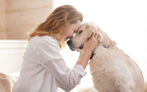 Tocar o convivir con un perro puede ayudarte a bajar el cortisol, la hormona del estrés.