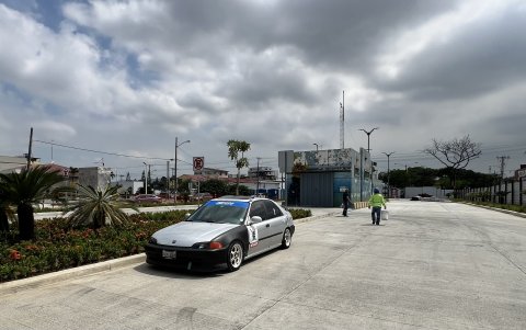 Área. Antes, en esta zona había árboles que daban sombra; ahora ninguna de las plantas colocadas cumplirá esa función.