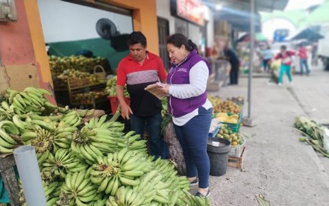 Intendencia ha indicado que realiza controles en los mercados por el precio del plátano verde.