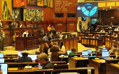 Durante la sesión del Pleno del  20 de junio de 2025, el correísmo repasó una y otra vez los cambios propuestos por el oficialismo antes de dar su voto.