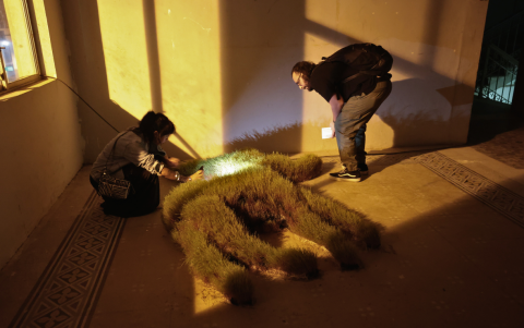 Boris Saltos habla sobre su arte, el tatuaje y su visión de la mortalidad en esta entrevista exclusiva sobre su regreso a las galerías.