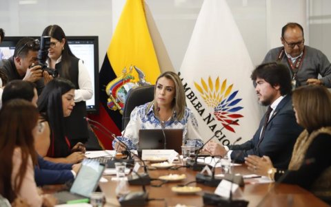 Durante la Asamblea presidida por Viviana Veloz se empezó el tratamiento de la reforma constitucional enviada por el presidente de la Repúblca.