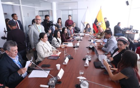 La Comisión de Seguridad de la Asamblea tramitó la Ley de Inteligencia.