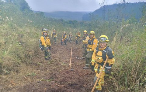 Los bomberos en campo demostraron las actividades que deben cumplir para controlar un incendio forestal.