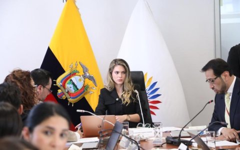 Rosa Torres, asambleísta del oficialismo, preside la Comisión de Justicia de la Asamblea en la que se tramitaron las reformas al Código de la Democracia.