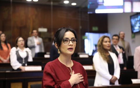 La asambleísta por Revolución Ciudadana Viviana Veloz cuestionó la baja ejecución presupuestaria.