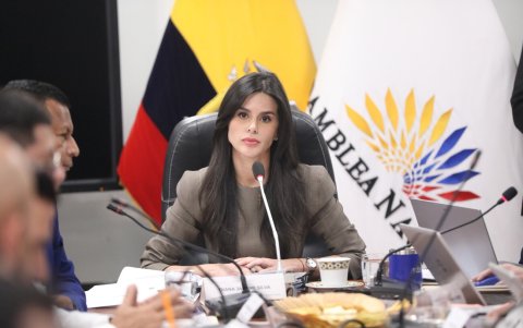 Diana Jácome, asambleísta de ADN, es presidenta de la Comisión de Transparencia.