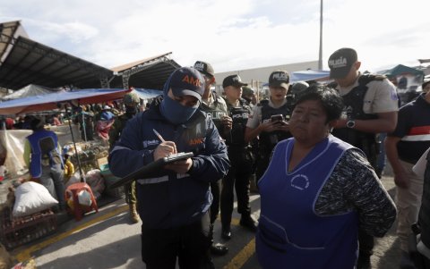 Sanción. La mujer ocultaba gatos en una caja; recibió una multa de 10 salarios.