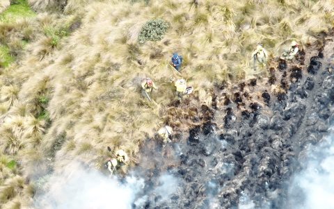 La vegetación del Sincholagua es propia de los páramos andinos, con pajonales.